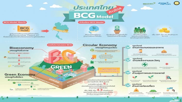 BCG Model การกลับย้อนถอยหลังไป ในยุคที่ทรัพยากรมีจำกัด ในยุคหลังสงครามโลก